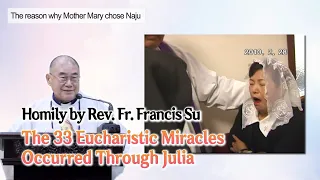 “The 33 Eucharistic Miracles Occurred Through Julia” (Homily by Fr. Su in Naju Shrine, Korea)