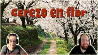 Cerezo en Flor en el Valle del Jerte. Argentinos reaccionan