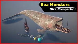 Sea Monsters Size Comparison | Incredible Sea Monsters | Data Slide