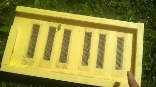 Как очистить дно улья из ППС   🐝  Пчеловодство в Ленинградской области 🐝