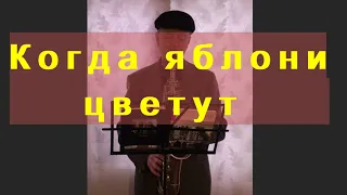 КОГДА ЯБЛОНИ ЦВЕТУТ - Ляпис Трубецкой (САКСОФОН)