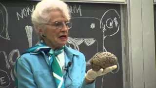 DOXA 2016 - My Love Affair with the Brain The Life and Science of Dr  Marian Diamond Trailer