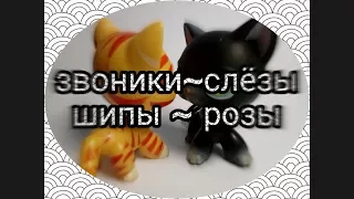 Lps:MV~,,звонки ~слёзы ,шипы~розы"