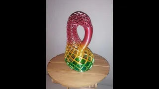 Octolapse - Klein Bottle Vase