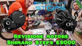 Revisione motore Shimano Steps E8000 come nuovo e super silenzioso!