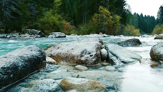 3 heures Relax - Bruit de la Rivière - Calme Nature Détente