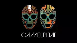 CamelPhat Live from Boardmasters Festival