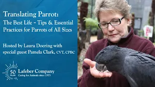 Translating Parrot 3: The Best Life – Tips & Essential Practices for Parrots of All Sizes
