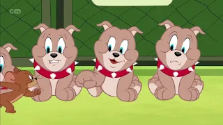 The Tom And Jerry Show - Not My Tyke##