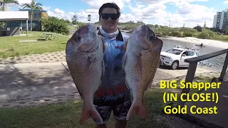 BIG Gold Coast Snapper IN CLOSE on lures and bait (+Mackerel)