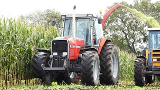 Best of Massey Ferguson 3690 During Corn Silage | Pure Straight Piped Sound | Corn Silage Season