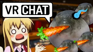 Puffer fish eats carrots in VRchat...