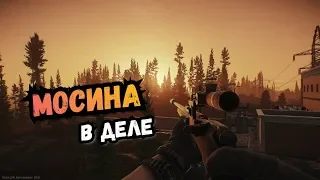 Escape from Tarkov - Винтовка Мосина #3