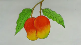 How to draw Mango easy step by step ||Mango drawing video for kids