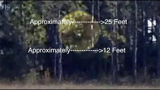 Why Is Bigfoot Unrecognized By Science? See A Giant 25 Foot Sasquatch Captured On Film In Florida
