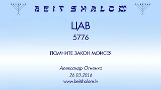 «ЦАВ» 5776 «ПОМНИТЕ ЗАКОН МОИСЕЯ» (А.Огиенко 26.03.2016)