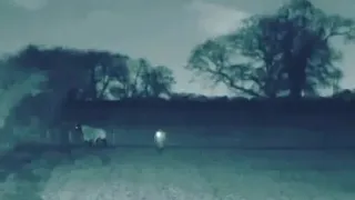 CABALLO FANTASMA??