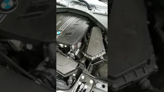 BMW N47 F30 startup noise timing chain