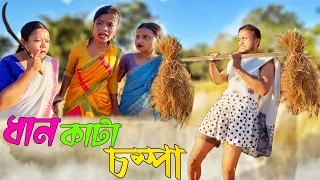 চম্পাৰ ধান কাটা শাউৰি // Assamese new comedy video