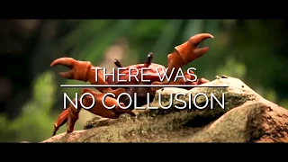THERE WAS NO COLLUSION CRAB RAVE