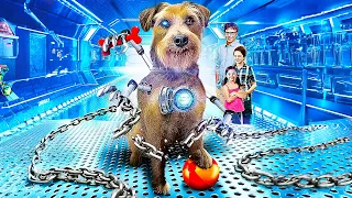 Cyberdog | Film HD