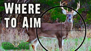 Where to Aim: A Guide for Deer Hunters from Real Hunts (#564)