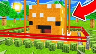 Cea Mai *SECURIZATA* BAZA din MINECRAFT!