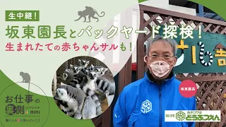【お仕事の裏側スペシャル】坂東園長とバックヤード探検！