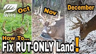 Create ALL Season Deer Hunting Parcels
