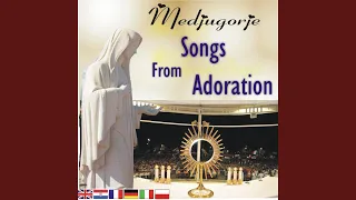Adoration song