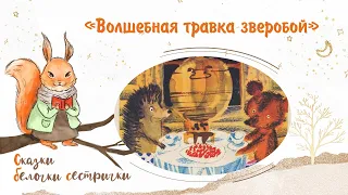 Сказка «Волшебная травка зверобой». Добрые аудиосказки для самых маленьких от белочки-сестрички