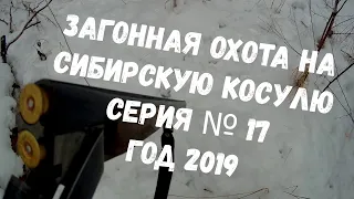 Охота на косулю!!! Шикарный выстрел!!!