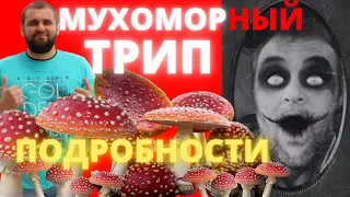 Мухоморный трип подробности| Что такое мухоморный трип| Мухоморный трип