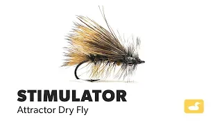 Fly Tying Tutorial: Stimulator