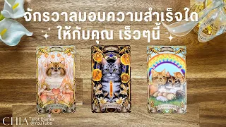 Pick​ a​ card​ จักรวาลมอบความสำเร็จเรื่องใดให้กับคุณ 🔆