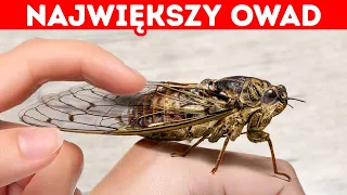 23 ciekawostki, z którymi nie wiadomo, co zrobić