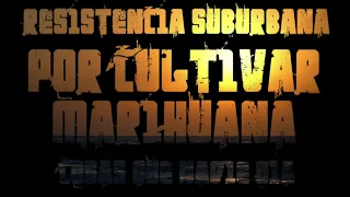 Por Cultivar Marihuana - Resistencia Suburbana (Cosas que nadie oía)