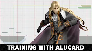 Training With Alucard