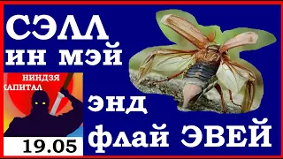 19.05.Вечерка.Курс ДОЛЛАРА.НЕФТЬ.АКЦИИ ММВБ.ЗОЛОТО. VIX. SP500. Курс РУБЛЯ. Трейдинг.Инвестиции