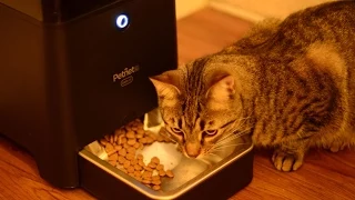 Petnet Beta SmartFeeder Automated Smart Home Pet Feeder - [Review]