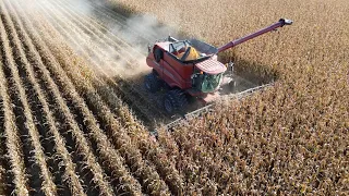 Mississippi delta corn harvest 2023 #harvest23 #corn