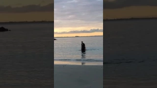 LOCH NESS MONSTER CAUGHT ON VIDEO! DEFINITIVE PROOF!