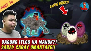 Bagong Manok Itlog Na Malakas! - Manok na Pula