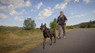 Tracy & Jack, A Mutual Rescue Film