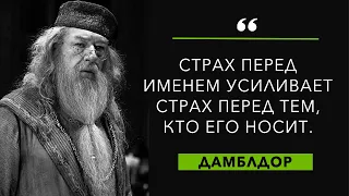 Слова, которые поражают. Цитаты Дамблдора о дружбе, любви и мудрости жизни