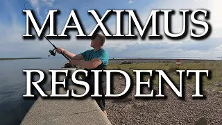 НОВЫЙ СПИННИНГ MAXIMUS RESIDENT 2023