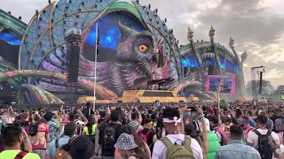 Black Coffee Live Set EDC Orlando November 2021 Kinetic Field