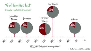 Mass Extinctions