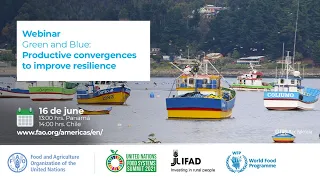 Green and Blue: Productive convergences to improve resilience