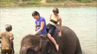 Непал, купание со слонами